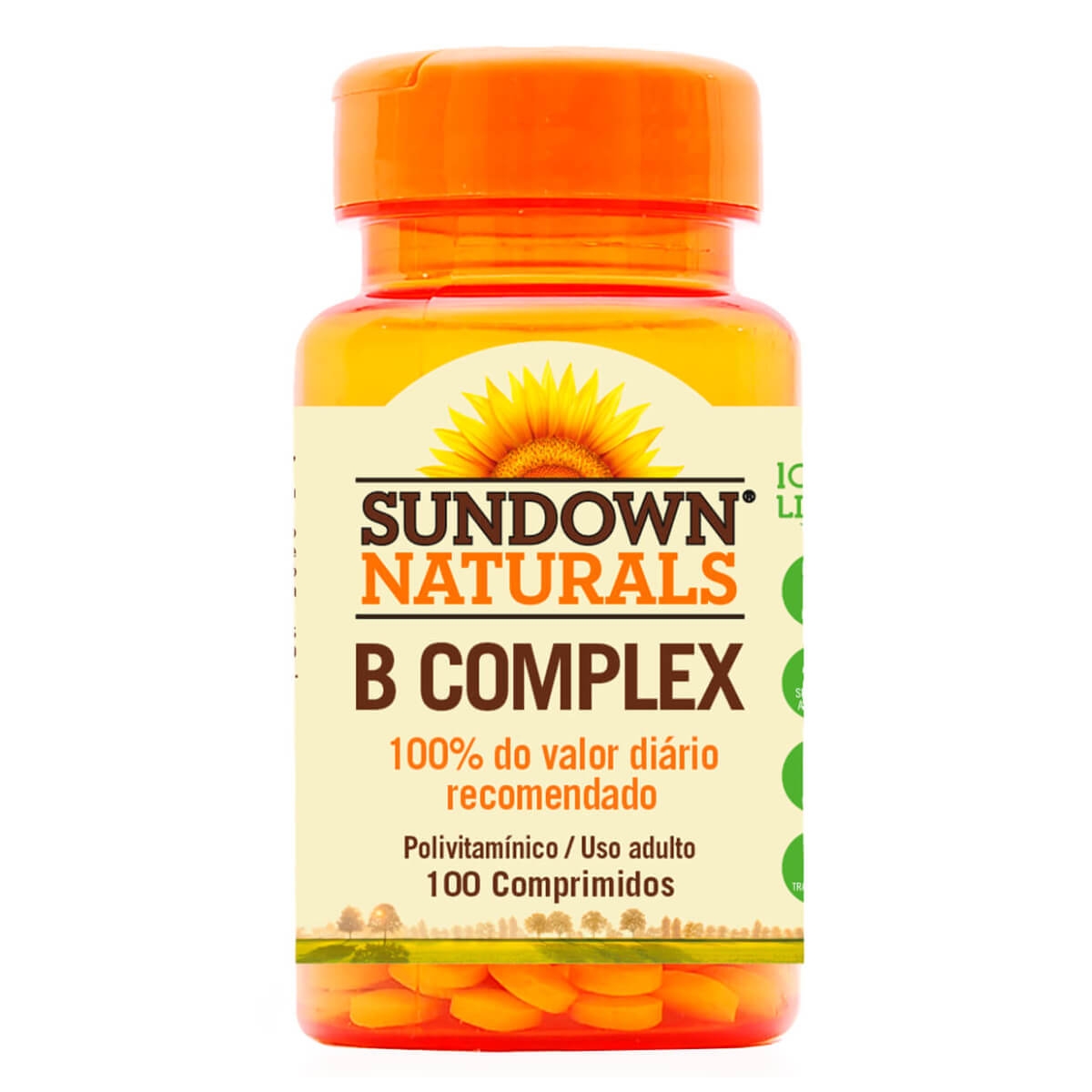 Complexo Vitamínico B Sundown Sundown Naturals 100 Comprimidos