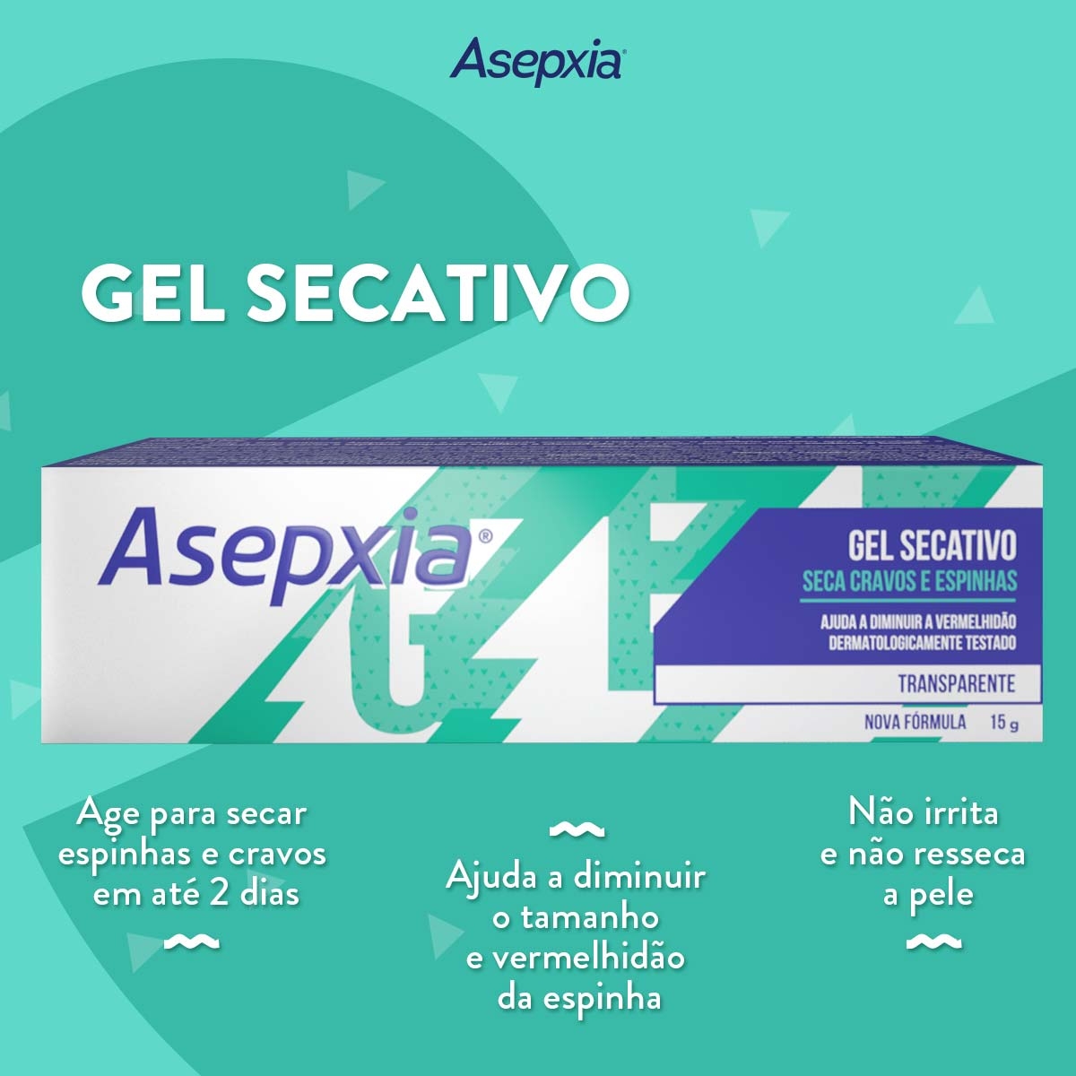 Gel Secativo Facial Asepxia com 15g | Droga Raia
