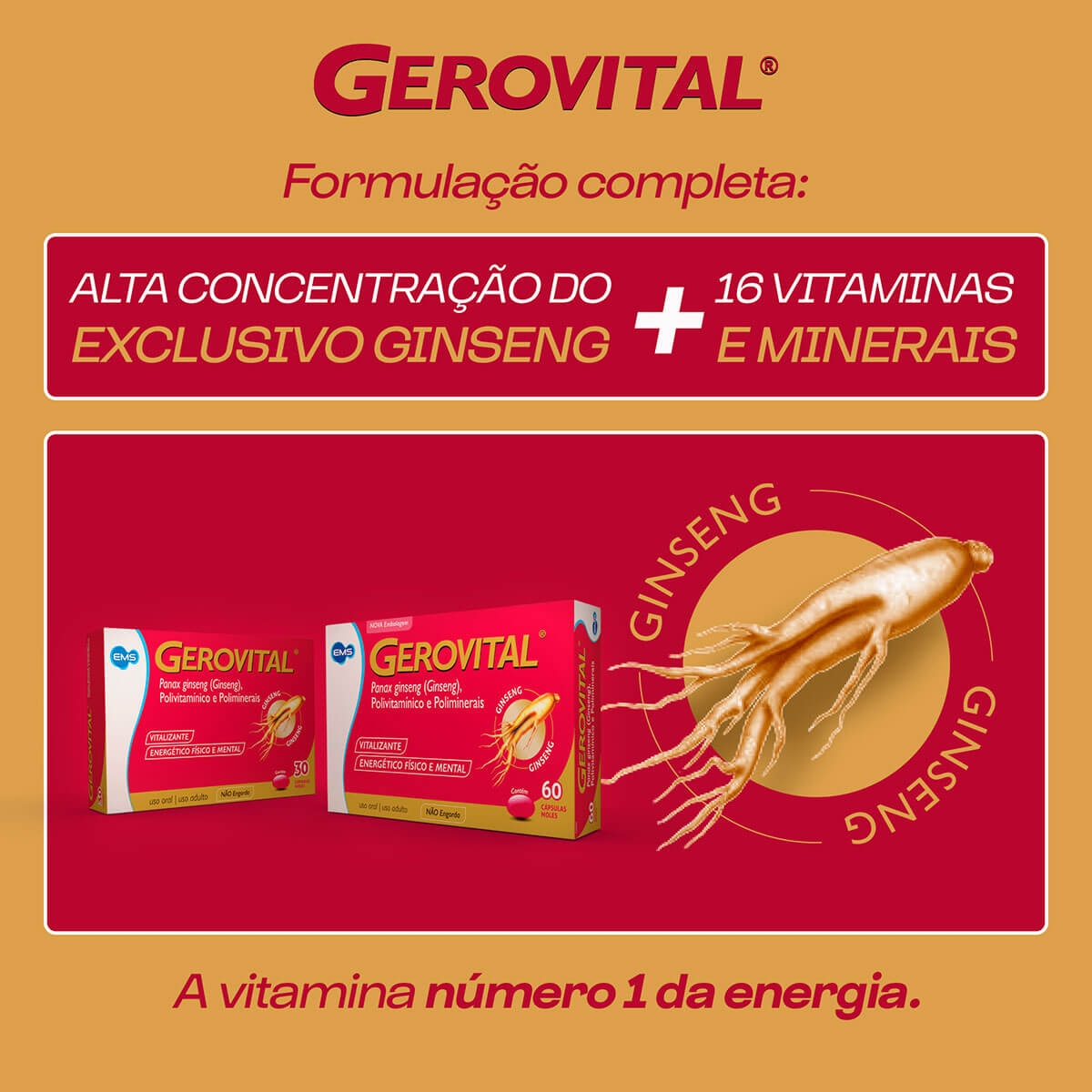 Suplemento Vitamínico Gerovital com 60 cápsulas | Droga Raia