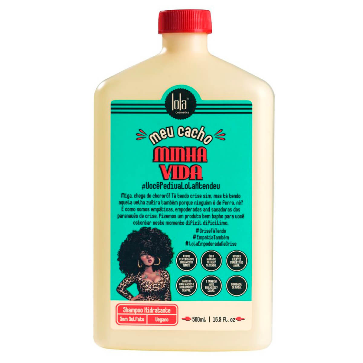 Shampoo Hidratante Lola Meu Cacho Minha Vida Menor preço em Shampoo Hidratante Lola Meu Cacho Minha Vida