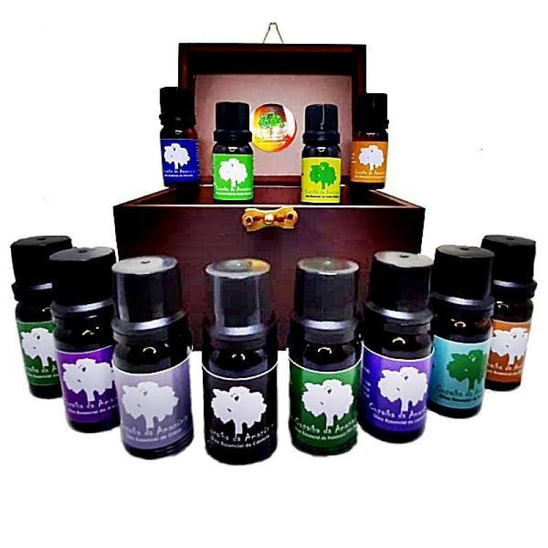 KIT SAÚDE E BEM ESTAR COM 12 ÓLEOS ESSENCIAIS E CAIXA DE MADEIRA SUSTENTÁVEL Menor preço em KIT SAÚDE E BEM ESTAR COM 12 ÓLEOS ESSENCIAIS E CAIXA DE MADEIRA SUSTENTÁVEL