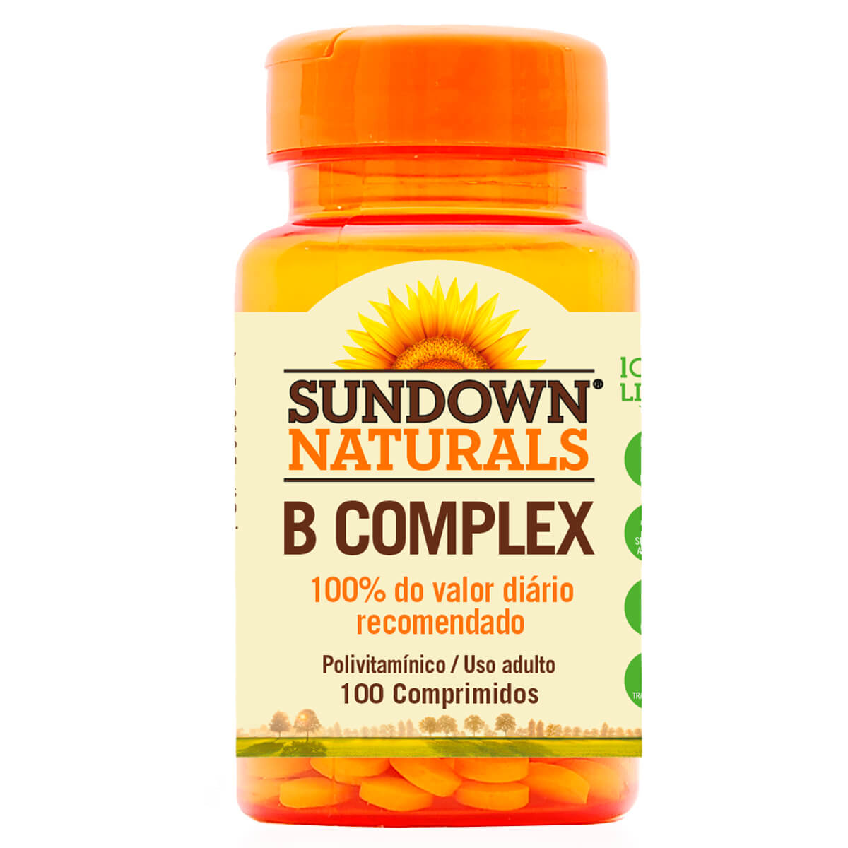 Complexo Vitamínico B Sundown 100 Comprimidos | Droga Raia