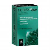 Suplemento Alimentar Motilex HA + MSM 30 comprimidos