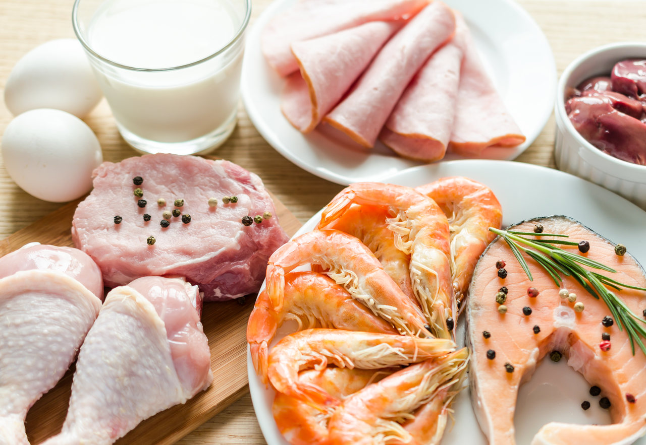 dieta da proteína