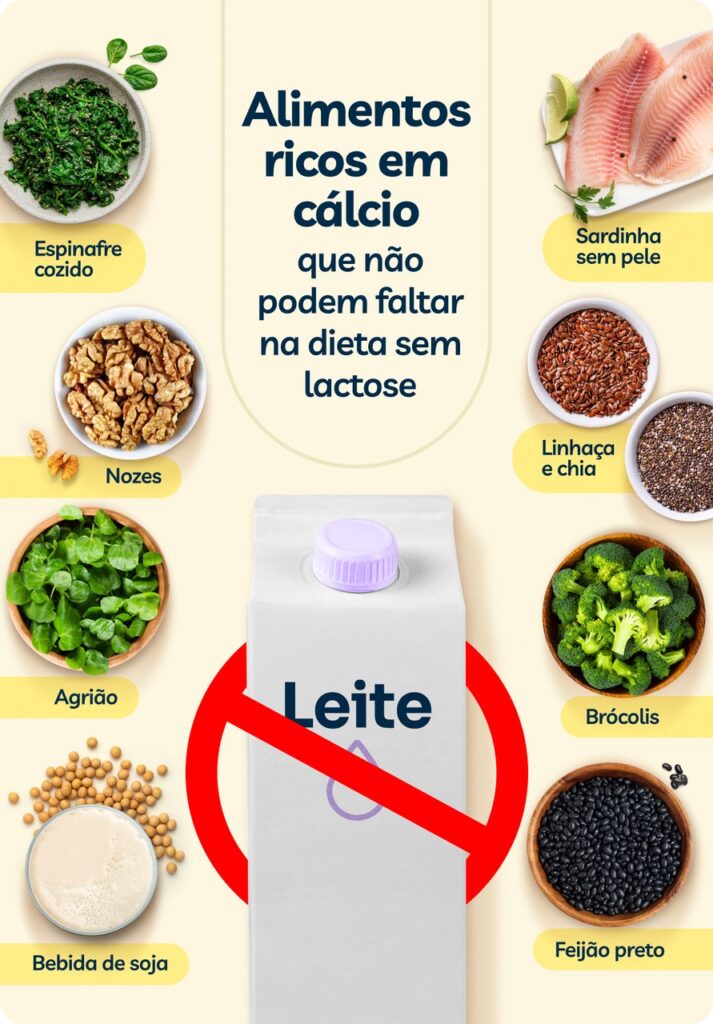 alimentos ricos em cálcio