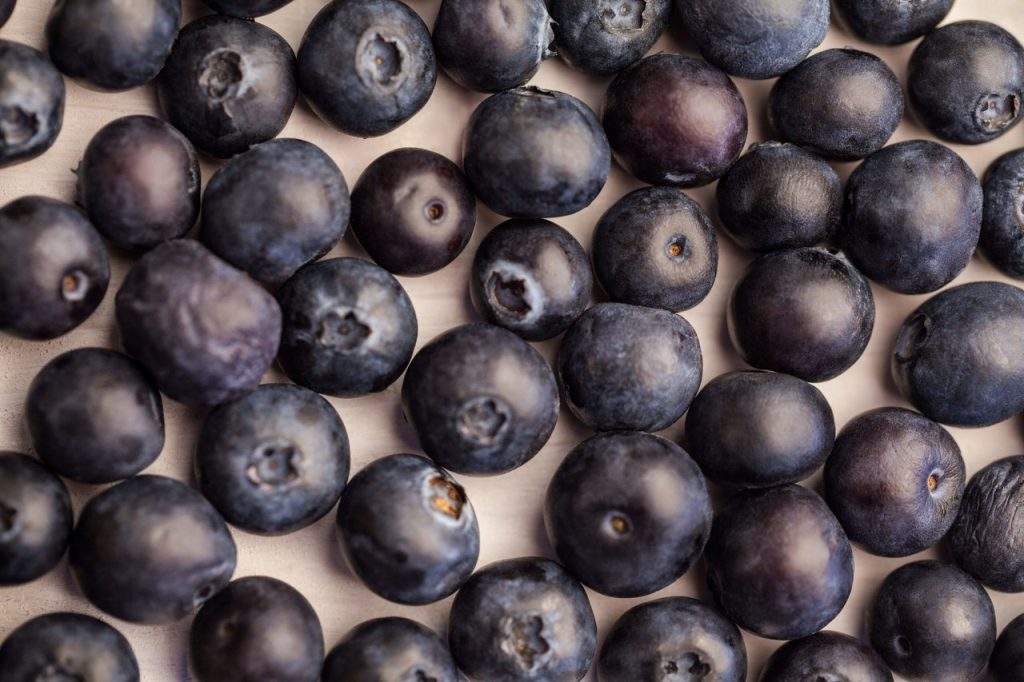 blueberry mirtilo
