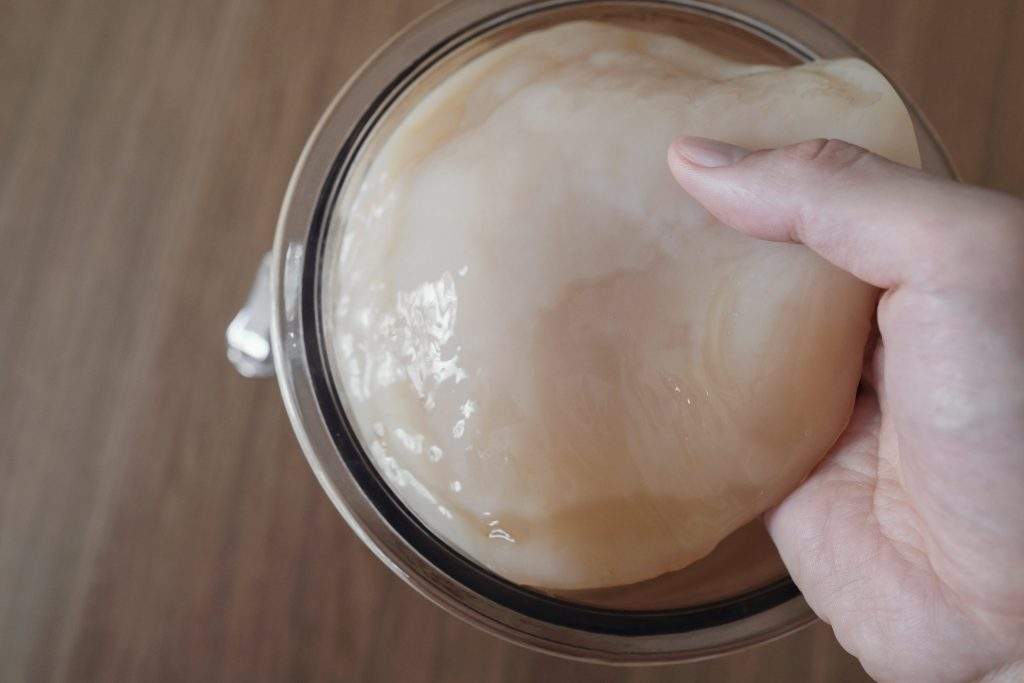 SCOBY