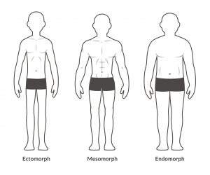 endomorfo