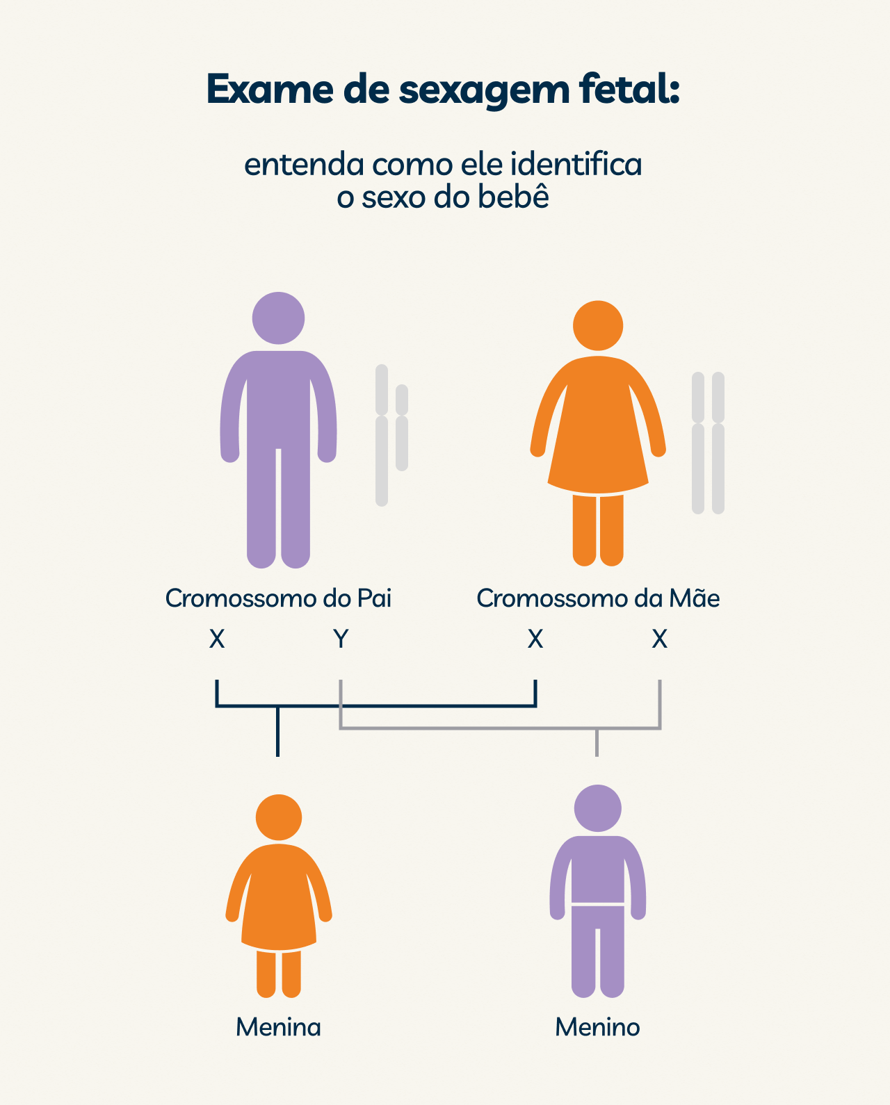 sexagem fetal