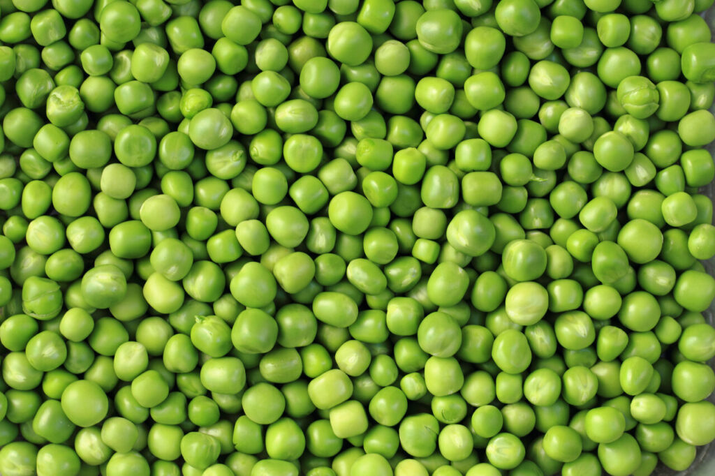 proteína vegetal